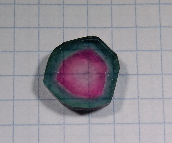 Watermelon Slice Tourmaline - 7.93ct - Hand Select Gem Rough - prettyrock.com