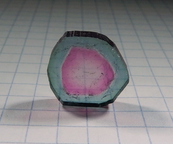 Watermelon Slice Tourmaline - 7.93ct - Hand Select Gem Rough - prettyrock.com