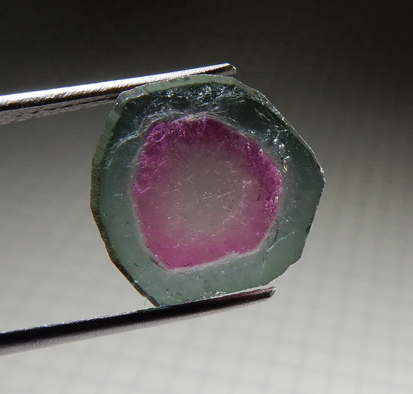 Watermelon Slice Tourmaline - 7.93ct - Hand Select Gem Rough - prettyrock.com