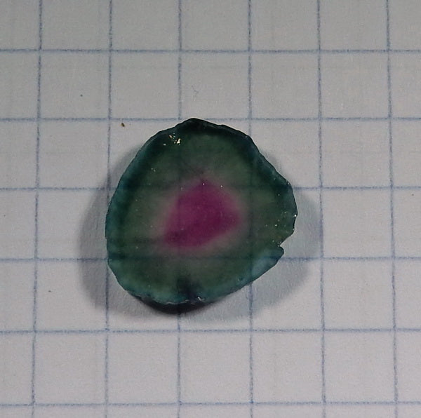 Watermelon Slice Tourmaline - 5.26ct - Hand Select Gem Rough - prettyrock.com