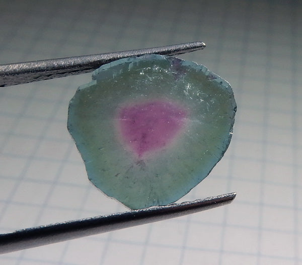 Watermelon Slice Tourmaline - 5.26ct - Hand Select Gem Rough - prettyrock.com