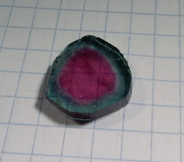 Watermelon Slice Tourmaline - 9.62ct - Hand Select Gem Rough - prettyrock.com