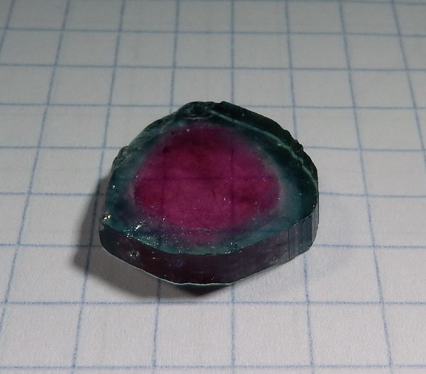 Watermelon Slice Tourmaline - 9.62ct - Hand Select Gem Rough - prettyrock.com