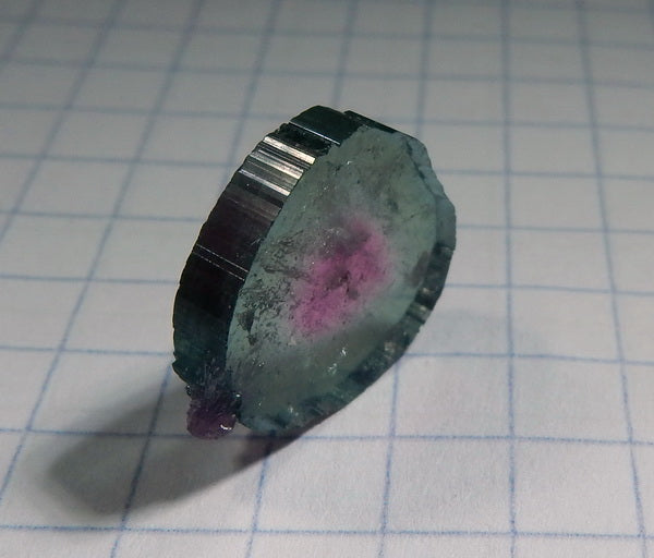 Watermelon Slice Tourmaline - 6.04ct - Hand Select Gem Rough - prettyrock.com