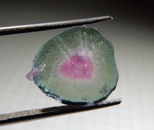 Watermelon Slice Tourmaline - 6.04ct - Hand Select Gem Rough - prettyrock.com