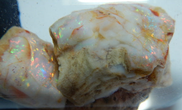 White Opal - 717ct - Hand Select Gem Rough - prettyrock.com