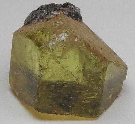 28ct Yellow Apatite - Hand Select Gem Rough - prettyrock.com