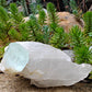 130g Aquamarine  - Mineral Specimen