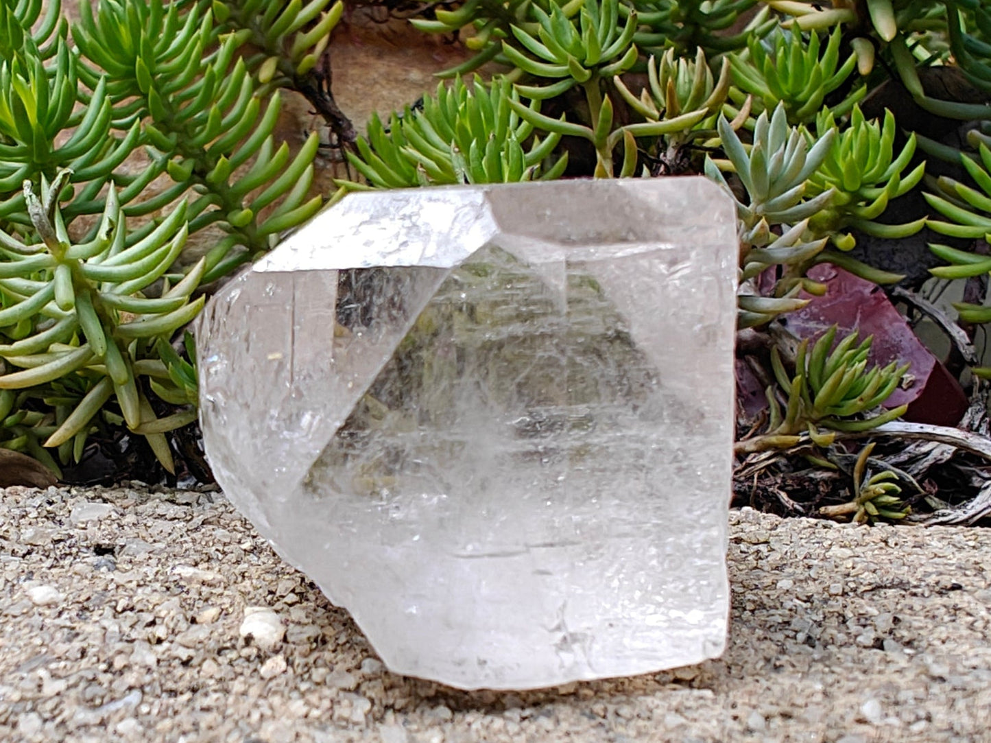 Silver Topaz -51g - Hand Select Crystal Mineral Specimen - prettyrock.com