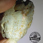 Clam Shell Opal - 141ct - Hand Select Gem Rough