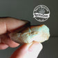 Clam Shell Opal - 67.79ct - Hand Select Gem Rough