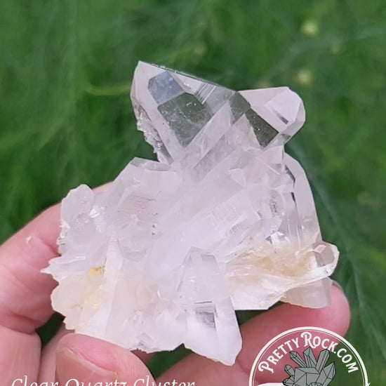 Clear Crystal Quartz Cluster - Mineral Specimen - 270 ct - prettyrock.com