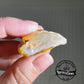 Clam Shell Opal - 93.56ct - Hand Select Gem Rough