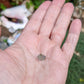 5.68ct Alexandrite Chrysoberyl - Hand Select Gem Rough - prettyrock.com
