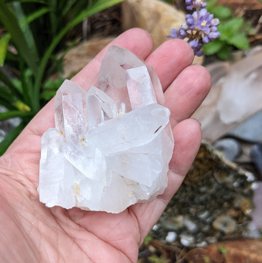 Clear Quartz Crystal Cluster - Mineral Specimen - 488 ct - prettyrock.com