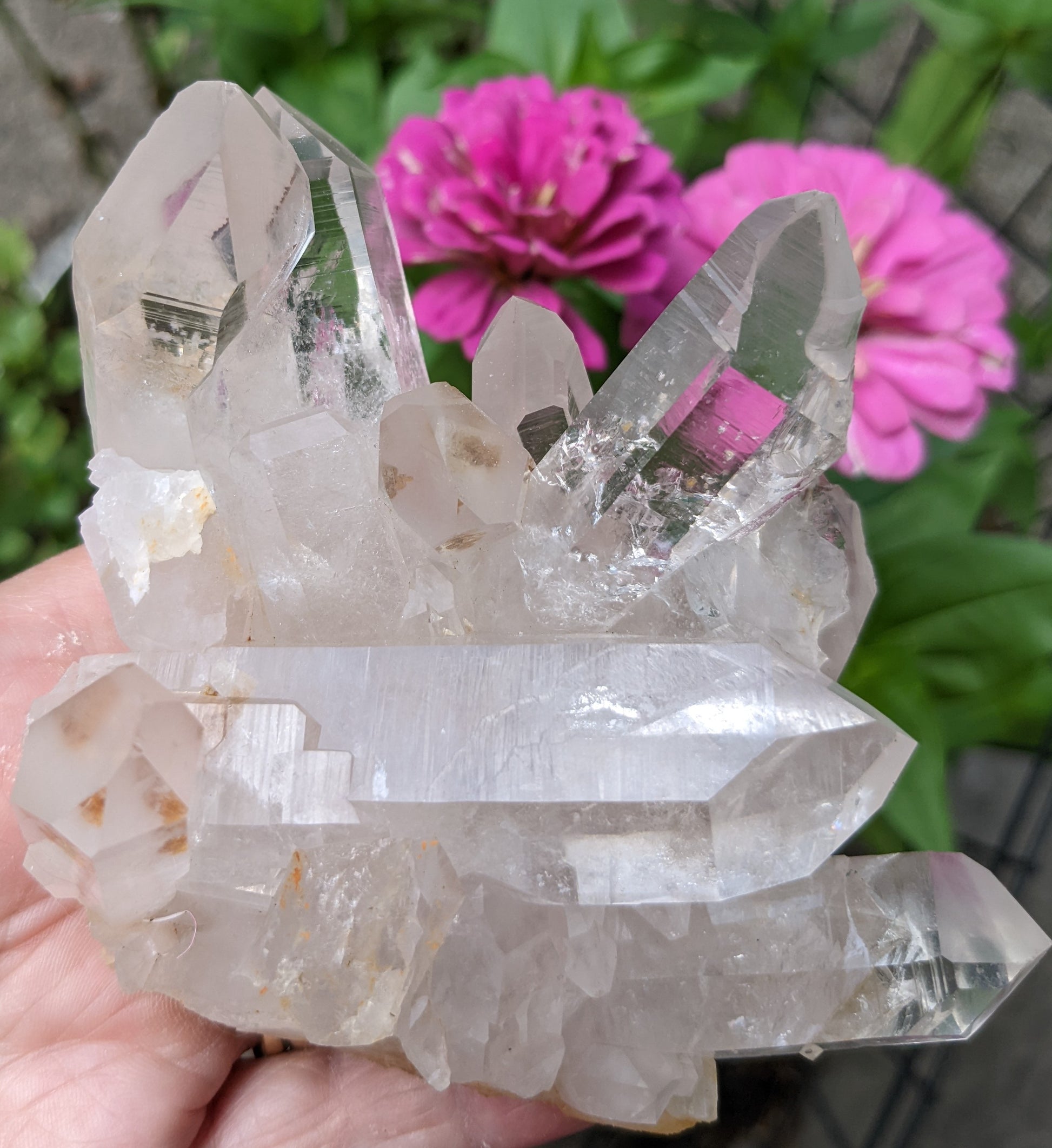 Clear Crystal Quartz  Cluster - Mineral Specimen - 1410 ct - prettyrock.com