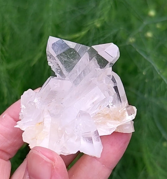 Clear Crystal Quartz  Cluster - Mineral Specimen - 270 ct - prettyrock.com