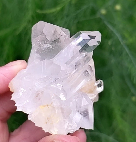 Clear Crystal Quartz  Cluster - Mineral Specimen - 270 ct - prettyrock.com