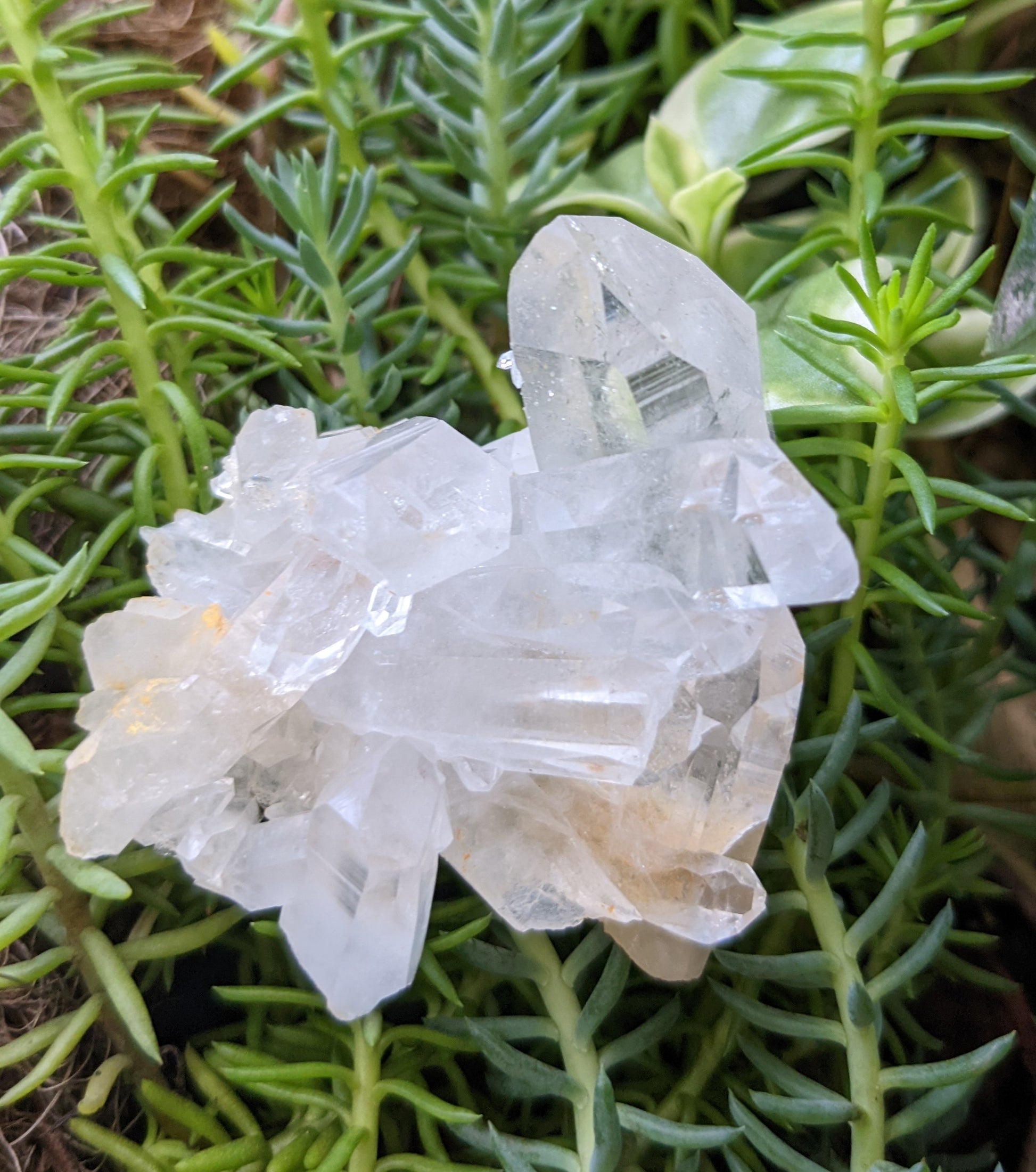 Clear Crystal Quartz  Cluster - Mineral Specimen - 270 ct - prettyrock.com