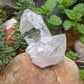 Clear Crystal Quartz  Cluster - Mineral Specimen - 465 ct - prettyrock.com