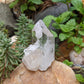 Clear Crystal Quartz  Cluster - Mineral Specimen - 465 ct - prettyrock.com