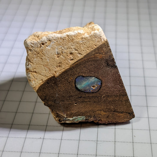 Boulder Opal - 284.5ct - Hand Select Gem Rough - prettyrock.com