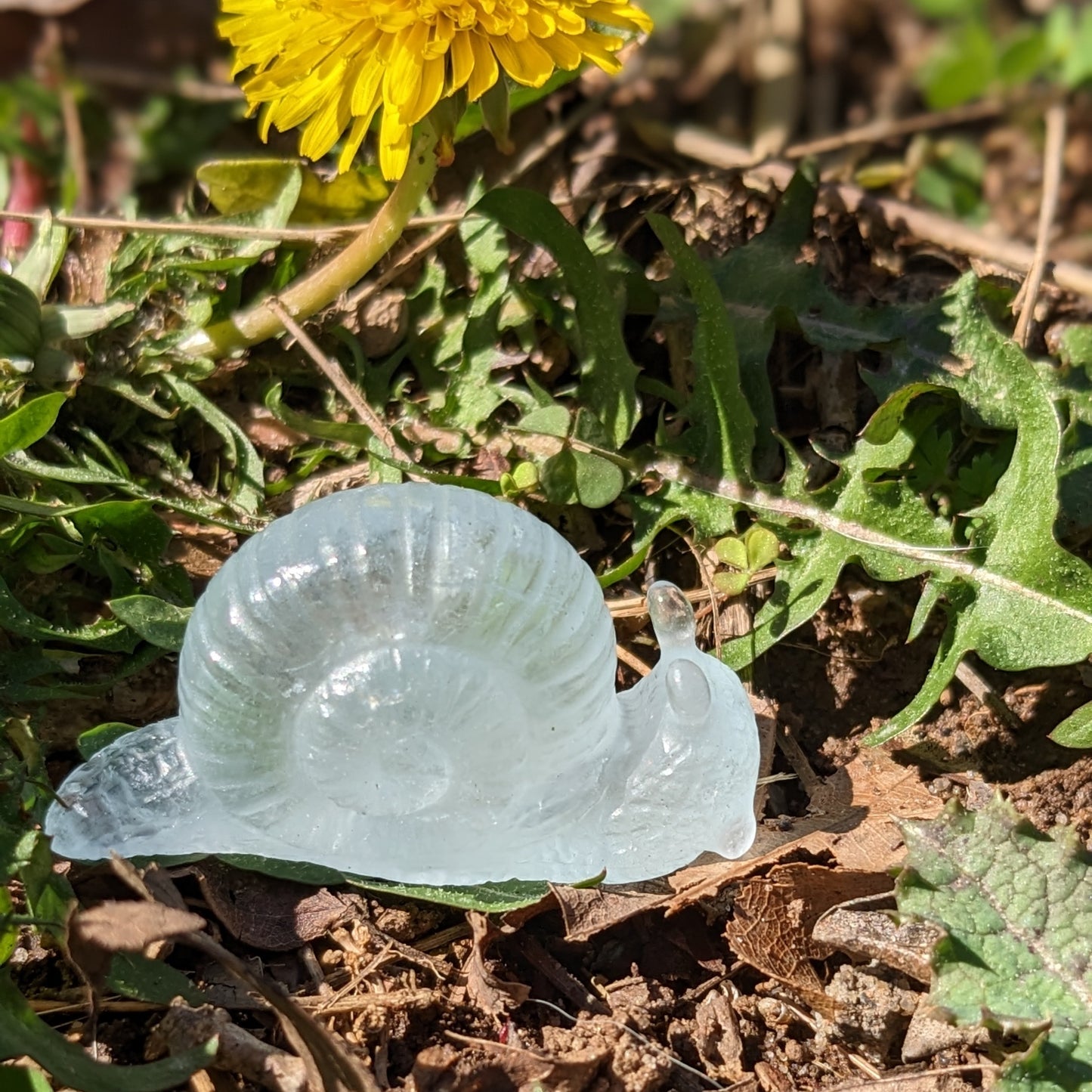 Aquamarine  Snail - Hand Carved  by Elizabeth McRorie - prettyrock.com