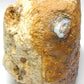 Boulder Opal - 347.5ct - Hand Select Gem Rough - prettyrock.com