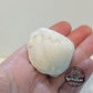 Clam Shell Opal - 123ct - Hand Select Gem Rough