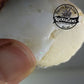 Clam Shell Opal - 91.03ct - Hand Select Gem Rough