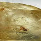 Citrine Crystal Points Quartz - 543ct - Hand Select Gem Rough - prettyrock.com