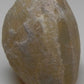 Clam Opal - 61.3ct - Hand Select Gem Rough - prettyrock.com