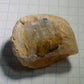Clam Shell Opal - 93.56ct - Hand Select Gem Rough - prettyrock.com