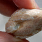 Clam Shell Opal - 64.33ct - Hand Select Gem Rough - prettyrock.com
