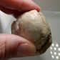 Clam Shell Opal - 123ct - Hand Select Gem Rough - prettyrock.com