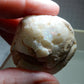 Clam Shell Opal - 123ct - Hand Select Gem Rough - prettyrock.com