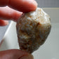 Clam Shell Opal - 141ct - Hand Select Gem Rough - prettyrock.com