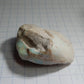 Clam Shell Opal - 67.79ct - Hand Select Gem Rough - prettyrock.com