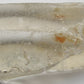 Clear Quartz - 459ct - Hand Select Gem Rough - prettyrock.com