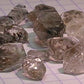 Diamond Quartz - 70ct - Hand Select Gem Rough - prettyrock.com