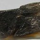 Enstatite - 14.84ct - Hand Select Gem Rough - prettyrock.com