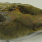 Ethiopian Opal - 12.49ct - Hand Select Gem Rough - prettyrock.com
