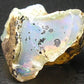 Ethiopian Opal - 9.51ct - Hand Select Gem Rough - prettyrock.com