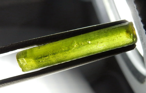 Green Tourmaline - 21.41ct - Hand Select Gem Rough - prettyrock.com