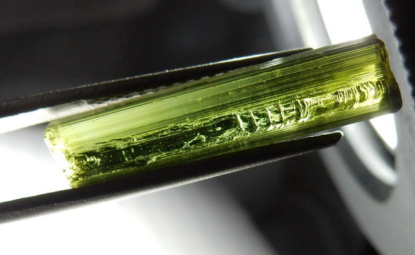 Green Tourmaline - 21.41ct - Hand Select Gem Rough - prettyrock.com