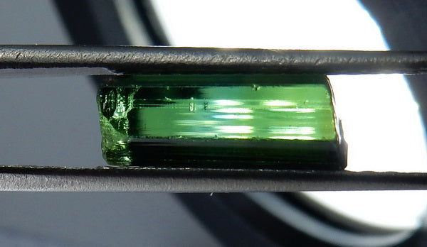 Green Tourmaline - 14.48ct - Hand Select Gem Rough - prettyrock.com