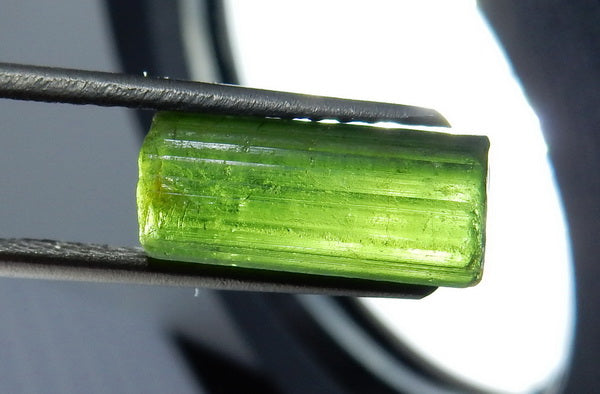 Green Tourmaline - 14.48ct - Hand Select Gem Rough - prettyrock.com