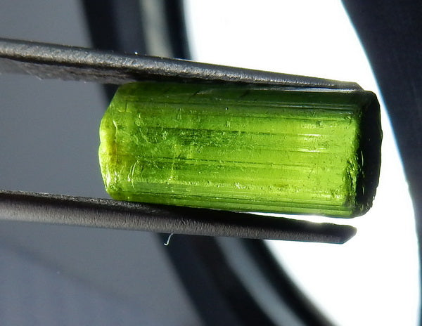 Green Tourmaline - 14.48ct - Hand Select Gem Rough - prettyrock.com