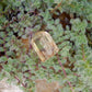 Imperial Topaz - 8.77ct - Hand Select Gem Rough - prettyrock.com