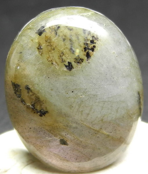 Labradorite - 18.55ct - Hand Select Gem Rough - prettyrock.com